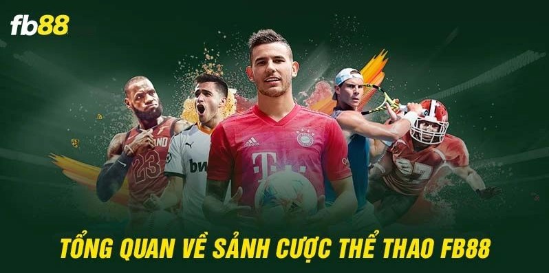 Đôi nét sơ qua về thể thao On Sport