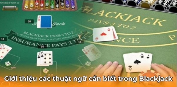 Giới thiệu các thuật ngữ cần biết trong Blackjack